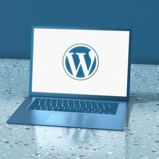 WordPress desconexión